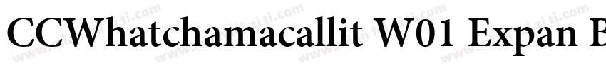 CCWhatchamacallit W01 Expan Bd字体转换